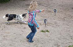 Hundeschule Bochum Longieren