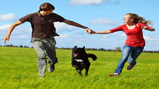 Hundeschule Bochum Hundepsychologe