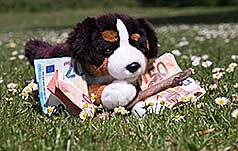 Hundeschule Preise Kosten